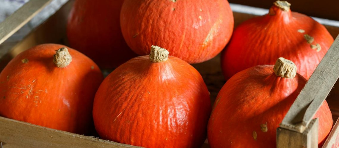 Peut-on manger du potimarron sans risque quand on a du diabète ?